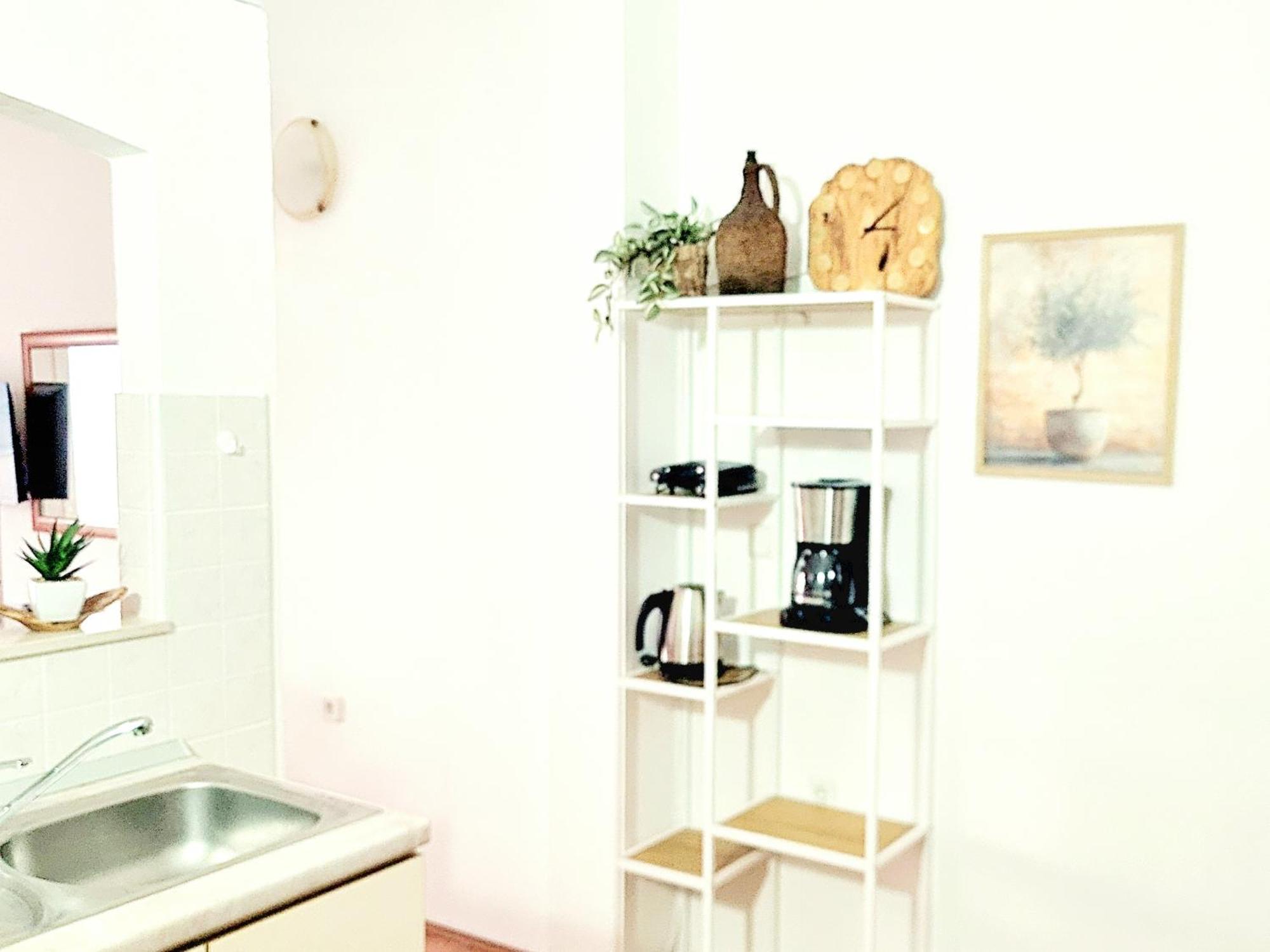 Skoric Fanatic Apartman